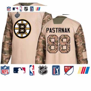 Bruins #88 David Pastrnak Camo Authentic 2017 Veterans Day Stanley Cup Final Bound Youth Stitched Hockey Jersey