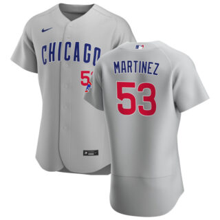 Chicago Cubs #53 Jose Martinez Men's Nike Gray Road 2020 Authentic Team Jersey