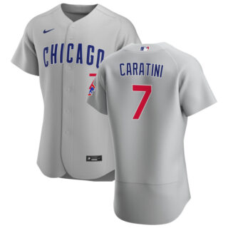 Chicago Cubs #7 Victor Caratini Men's Nike Gray Road 2020 Authentic Team Jersey