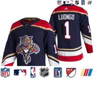 Florida Panthers #1 Roberto Luongo Black Men's Adidas 2020-21 Reverse Retro Alternate NHL Jersey