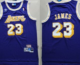 Lakers 23 Lebron James Purple Hardwood Classics Jersey