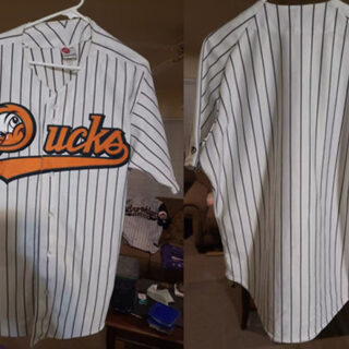 Men's Long Island Ducks Blank White Stitched Baseball Jersey