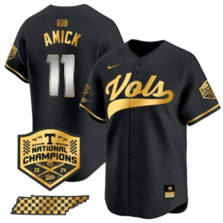 Men's Tennessee Volunteers #11 Billy Amick Black Gold 2024 Champions Vapor Limited Stitched Jersey