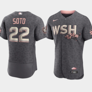 Men's Washington Nationals #22 Juan Soto 2022 Grey City Connect Cherry Blossom Flex Base Stitched MLB Jersey