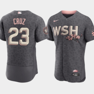 Men's Washington Nationals #23 Nelson Cruz 2022 Grey City Connect Cherry Blossom Flex Base Stitched MLB Jersey
