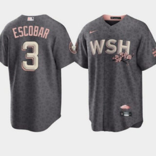 Men's Washington Nationals #3 Alcides Escobar 2022 Grey City Connect Cherry Blossom Cool Base Stitched Jersey