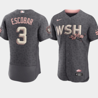 Men's Washington Nationals #3 Alcides Escobar 2022 Grey City Connect Cherry Blossom Flex Base Stitched MLB Jersey