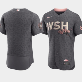 Men's Washington Nationals Blank 2022 Grey City Connect Cherry Blossom Flex Base Stitched MLB Jersey