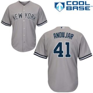 Youth New York Yankees Miguel Andujar #41 Gray Jersey