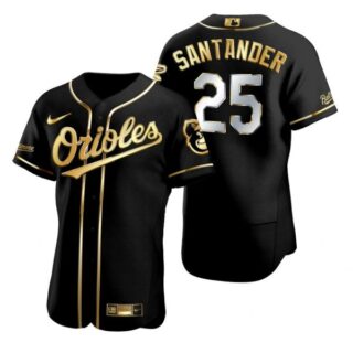 Men's Anthony Santander Baltimore Orioles Flex Base Jersey Black Golden