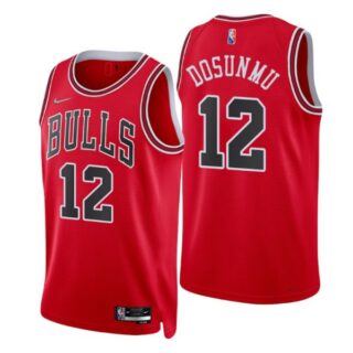 Men's #12 Ayo Dosunmu Chicago Bulls 75th Anniversary Diamond Jersey