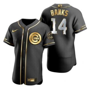 Men's Ernie Banks Chicago Cubs Flex Base Jersey Black Golden