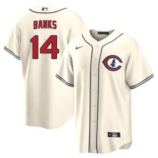 Youth Chicago Cubs Ernie Banks 2022 Field of Dreams Cream Stitched Jersey With Name