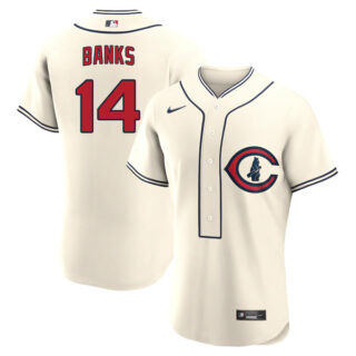 Men's Flex Base Chicago Cubs Ernie Banks 2022 Field of Dreams Cream Stitched Jersey With Name