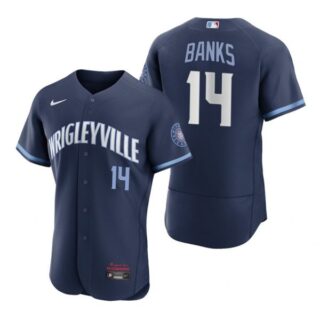 Men's - Flex Base Chicago Cubs Ernie Banks City Connect Wrigleyville Jersey Navy Stitched