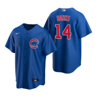 Men's Ernie Banks Chicago Cubs Cool Base Jersey Royal