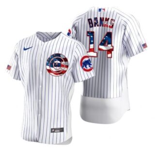 Men's Ernie Banks Chicago Cubs Flex Base Jersey White Stars
