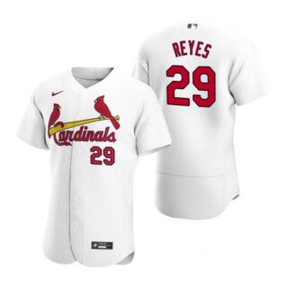 Men's Alex Reyes St. Louis Cardinals Flex Base Jersey Black Holographic White