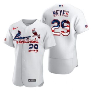 Men's Alex Reyes St. Louis Cardinals Flex Base Jersey Black Holographic White Stars