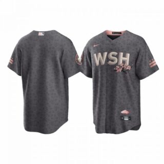 Youth Blank Washington Nationals City Connect Cherry Blossom Jersey Gray