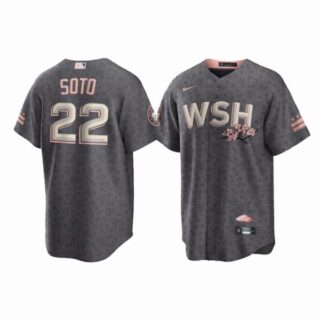 Youth Juan Soto Washington Nationals City Connect Cherry Blossom Jersey Gray