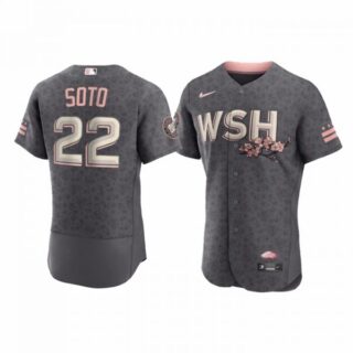 Men's Flex Base Juan Soto Washington Nationals Gray 2022 City Connect Cherry Blossom Jersey