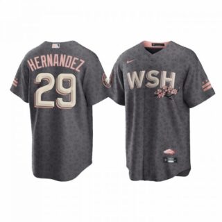 Youth Yadiel Hernandez Washington Nationals City Connect Cherry Blossom Jersey Gray