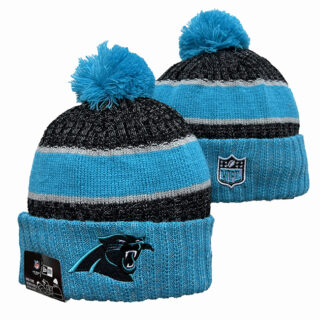 Carolina Panthers 2025 Knit Hats