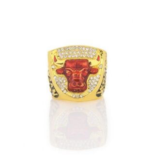 1993 NBA Chicago Bulls Jordan team Championship ring basketball perimeter - number 11