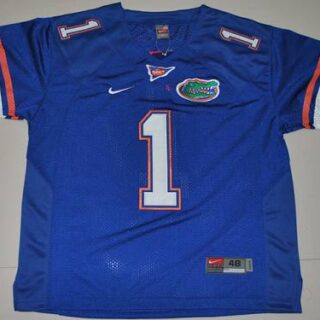 Men's Florida Gators ACTIVE PLAYER Custom Blue Stitched Jersey