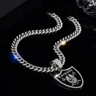 Raiders 20inch Necklace Silver