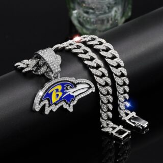 Ravens 20inch Necklace Silver
