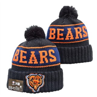 Chicago Bears 2025 Knit Hats 006
