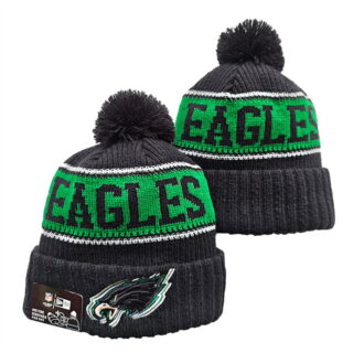 Philadelphia Eagles 2025 Knit Hats 019