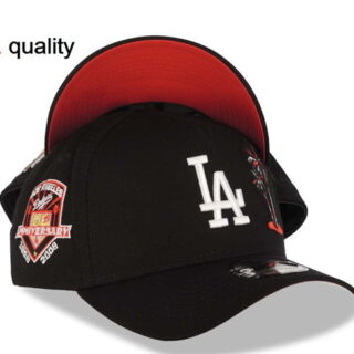 Los Angeles Dodgers 2025 Stitched Snapback Hats 055
