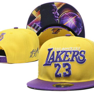 Los Angeles Lakers 2025 Stitched Snapback Hats 016