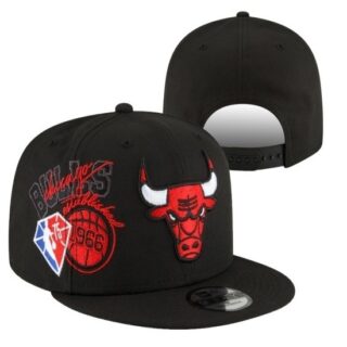 NBA Chicago Bulls Stitched Snapback Hats 2026-1-01