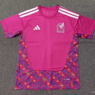 2026 Men's Mexico Pink Jersey can print any name and number