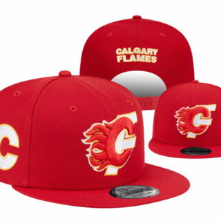 Calgary Flames Stitched Snapback Hats 005
